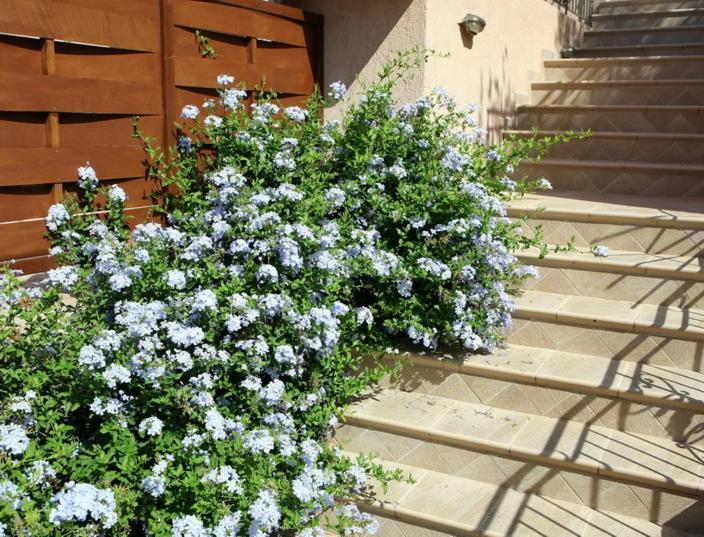 Provenzo And Meliti Villas Lourdata  Zewnętrze zdjęcie